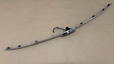 FORD TAURUS 2015 REAR TRUNK LID MOULDING with BACKUP CAMERA DG1354425A22 OEM